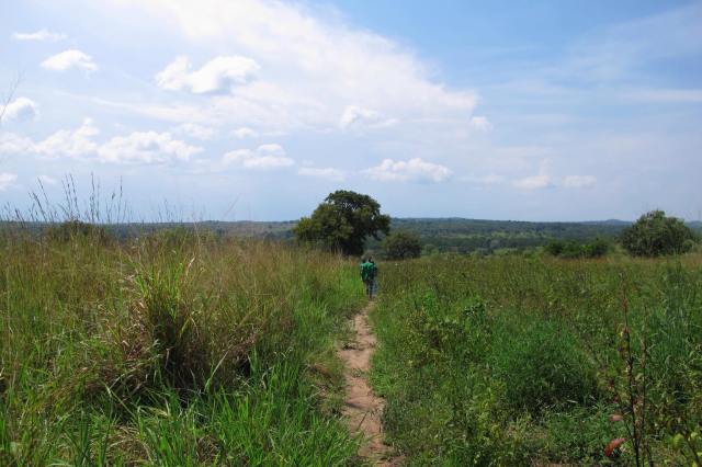 the path to the well in Te Okot